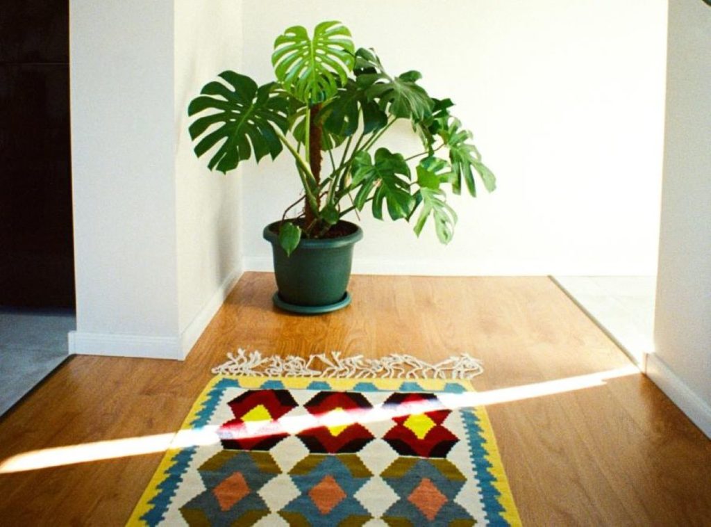 Rugs in Home Decor